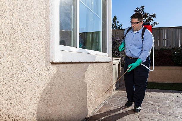 Best Pest Control for Multi-Family Homes  in Paradise Valley, AZ